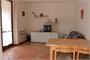 Casar_30 2a